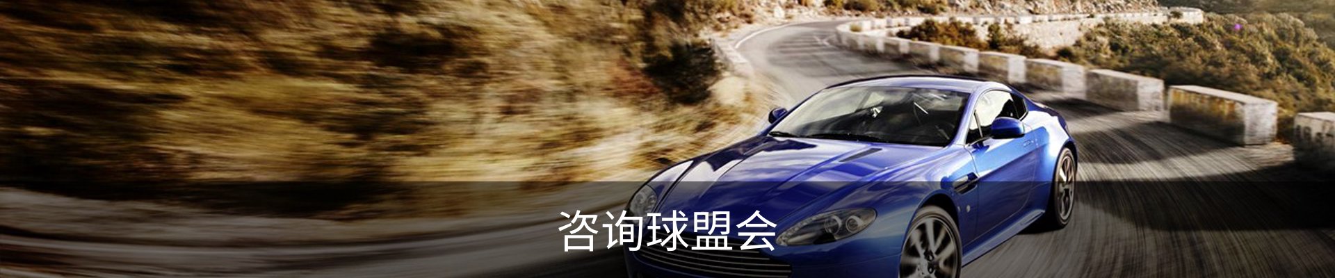 咨询球盟会